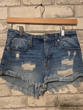 Mossimo Supply Co. Distressed Light Blue Frayed Denim Shorts